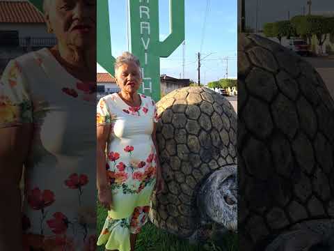 Estátua do Tatu gigante | Maravilha-AL