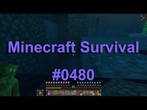 Let's Play Minecraft Survival #0480 - weiter mit dem Ofen