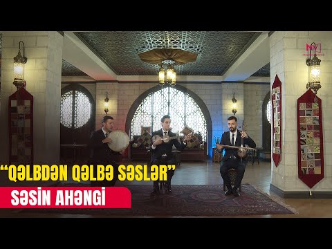 KONSERT - SƏSİN AHƏNGİ II HİSSƏ 29.05.2025