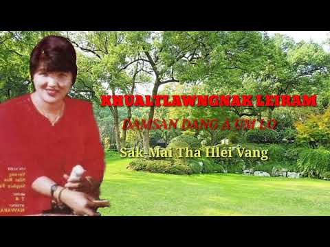 DAMSAN DANG A UM LO MAI THA HLEI VANG