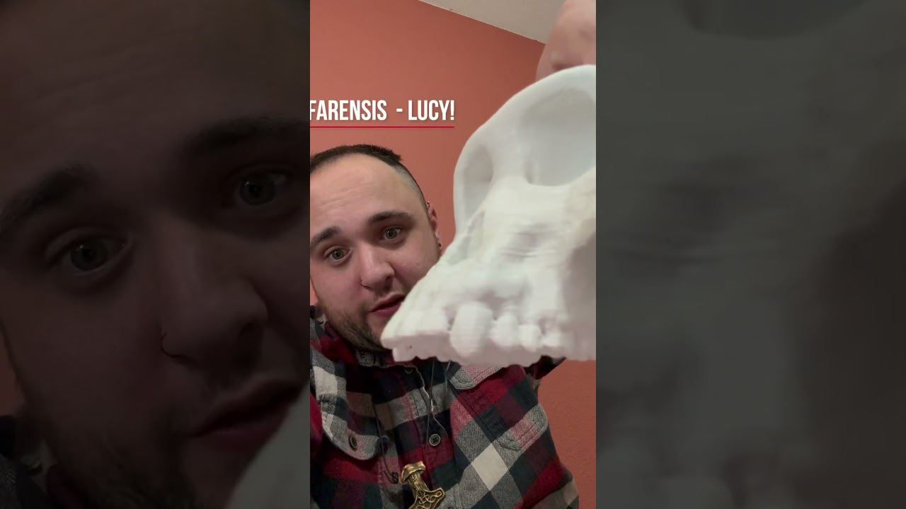 Who was Lucy, the Australopithecus afarensis?