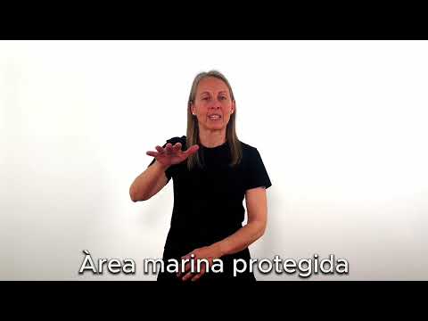 Àrea marina protegida - LSC