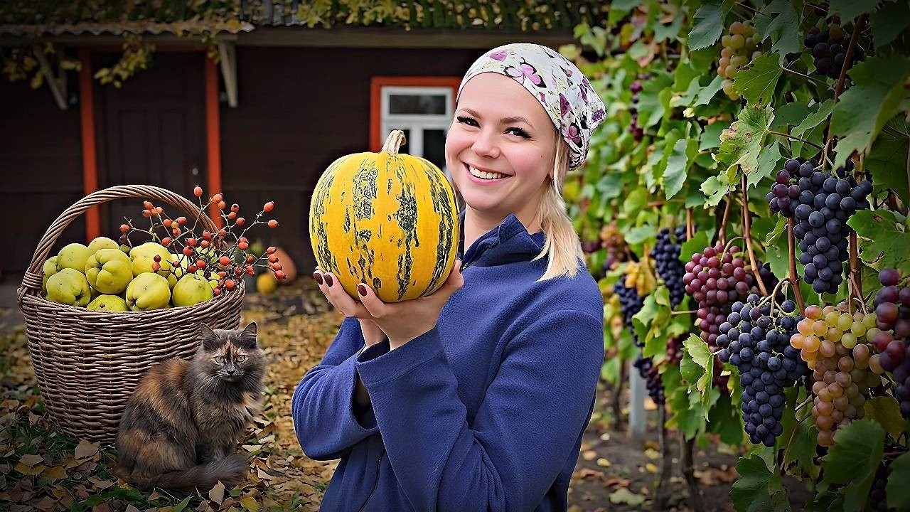 ЖИЗНЬ На ХУТОРЕ! Финал СЕЗОНА: Тыквы, Виноград, Шиповник и Айва! Что нас ждет Д