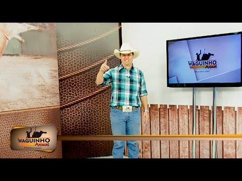 Waguinho Animal 06/08/16 na íntegra | Rodeio Riolândia 2016
