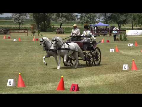 II. Nemzetközi Fogathajtó Verseny Mélykút 2018 - Akadályhajtás kettesfogatok