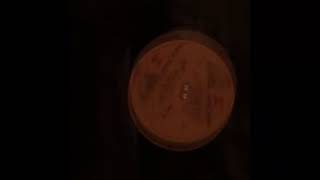 The Stills-Young Band,&quot;Long may you run&quot;