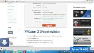 WordPress Custom CSS Plugin Usage