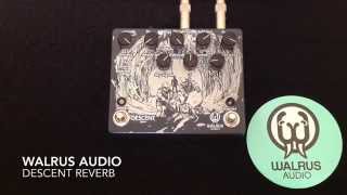 Video thumbnail for Walrus Audio Descent Reverb Pedal by Curtis Kent