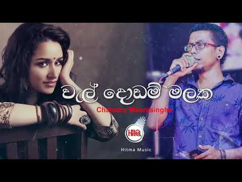 Wal Dodam Malaka (වැල් දොඩම් මලක) - Chamara Weerasinghe -  Hitma Music Official Lyrics Video