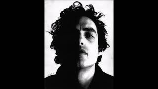 The Wallflowers 'Skinny Lips' (live 1996)