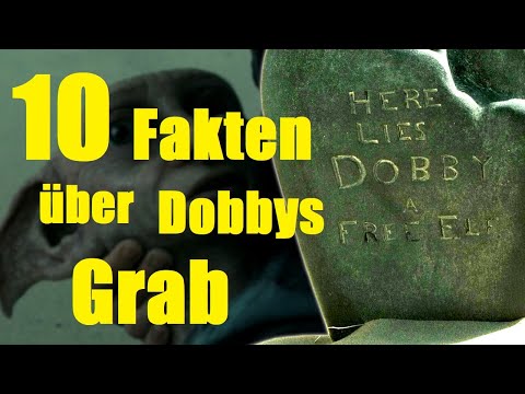 10 FAKTEN über DOBBYS GRAB 🧦