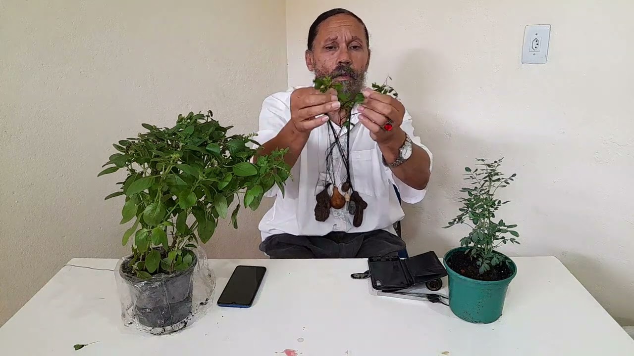 Atraía riquezas hoje