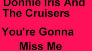 Donnie Iris And The Cruisers-You're Gonna Miss Me