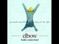 Elbow- the night will always win (lyrics) 