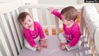 Sevimli İkiz Bebeklerin çok Komik Kavgaları
