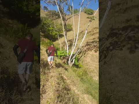 Santana do mundau/Alagoas 26 _ 11_ 25