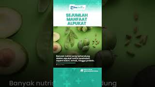Segudang Manfaat Buah Alpukat untuk Kesehatan Tubuh, Kurangi Peradangan & Menambah Energi