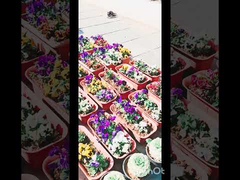 takhat sri kesh garh sahib anandapur