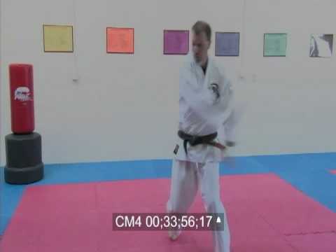 Amercan Kenpo Long Form #4 (Robert Douglas)