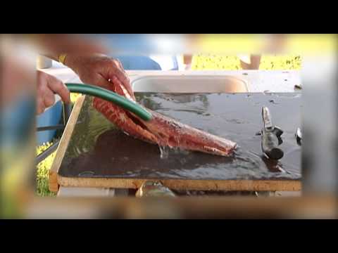 How To Clean & Score Carp