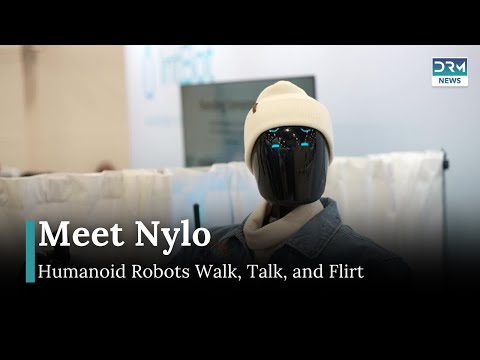 Nylo Review Video 2