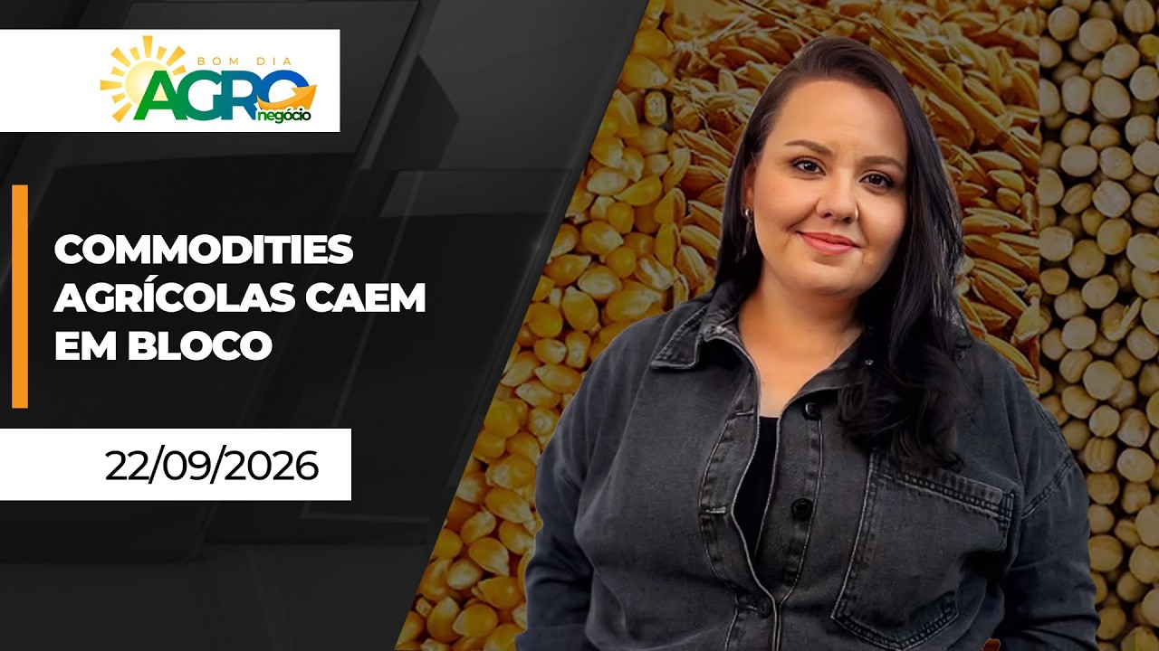 Bom dia Agro - Grãos em Chicago e softs em NY recuam nesta 3ª