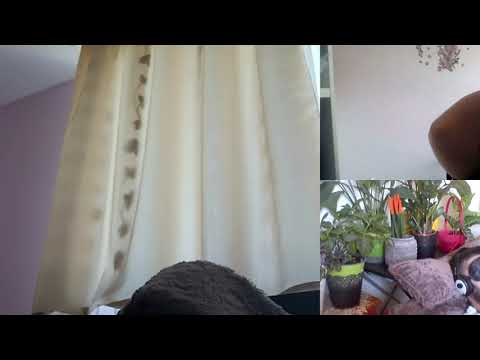 Hipnoza regresiva 442 Dorin si slabiciunile C si A Moraru