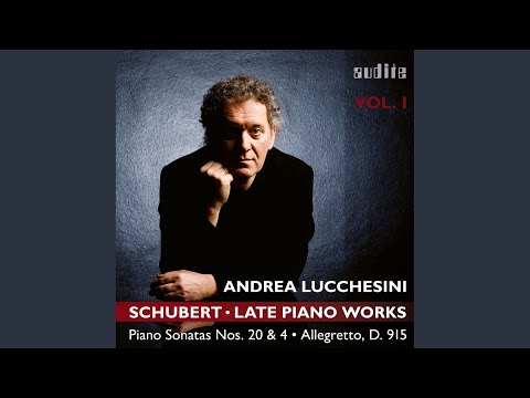 Piano Sonata No. 20 in A Major, D. 959: II. Andantino