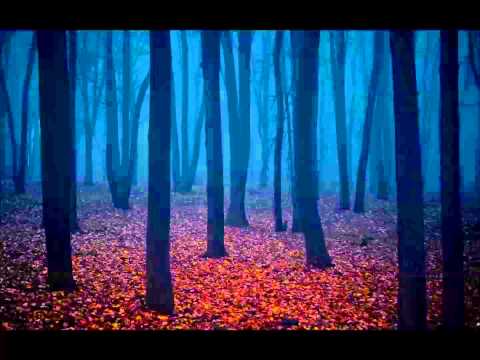 Dark Creepy Ambient Music #10 - Hasty Running From The Unknown (Heavy Palpitations)