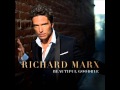 Richard Marx - Inside 