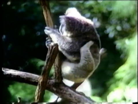 Time Bandits - Endless Road  (Special Remixed Dance Version) 1985