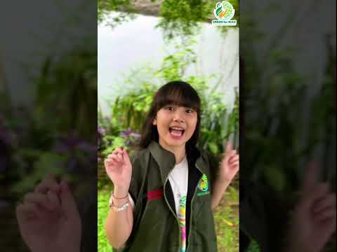 Shactzi Dukung GREEN for Riau