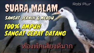 Download lagu 🔴 Suara pikat ruak ruak malam 100% ampuh suara sangat jernih & merdu cepat datang #surapikatrobi mp3