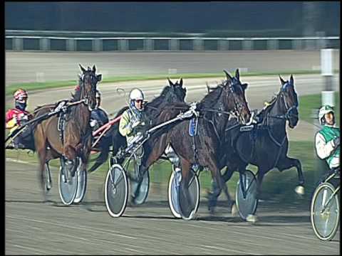 Trotto 27/11/2016 - 6ª corsa