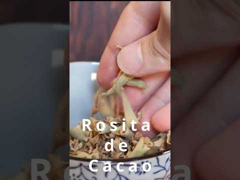 Why did the Aztecs add this flower to chocolate?  #fruit #food