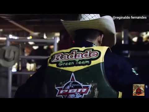 Videos de rodeio para status do whatsapp