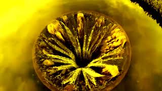 Will to Win - Society (unofficial video)