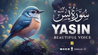 Download lagu Ramadan World's most beautiful Quran recitation of Surah Yasin (Yaseen) سورة يس | Zikrullah TV mp3