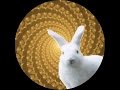 Rabbit Transformation Hypnosis