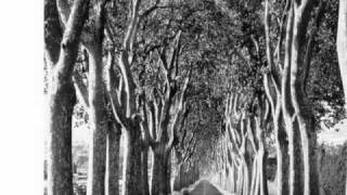 John Foxx - Stepping Sideways