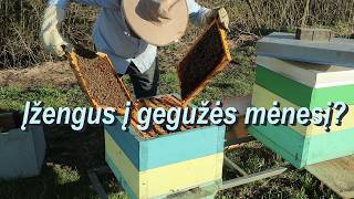 Įžengus į gegužės mėnesį?