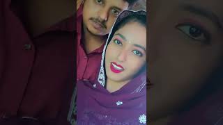 Download lagu Badai raha piyarsa piyaka#shortvideo #minivlog #youtube #cat #love #catcat #video mp3