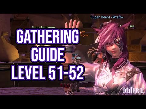 FFXIV 3.0 0651 Gathering Guide Level 51 to 52