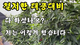 철저한 태풍대비 저는 이렇게 했습니다