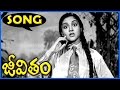 Jeevitham Telugu Video Songs Telugu Songs Vyjayanthimala Telugu Movie Bazaar