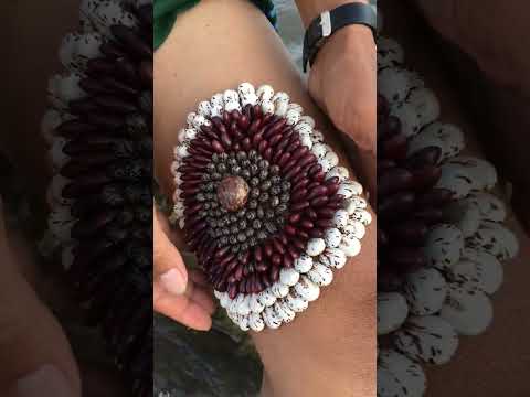 ticks #trending #fishing #nature #aug #fruit #fish #henna #musicapp #lus #if