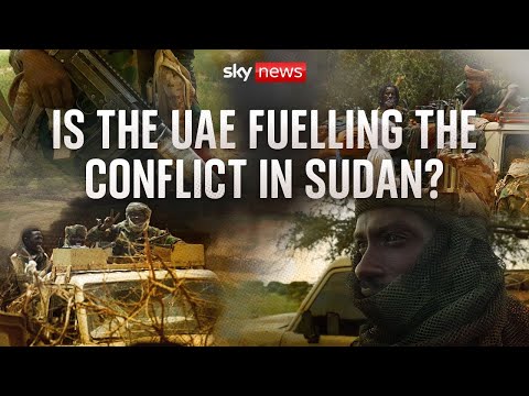 UAE is 'main backer behind RSF militia in Sudan', intelligence officer claims