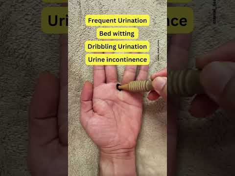 Acupressure point for all Urine problems ( UTI )