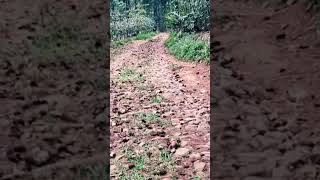 Download lagu PALING VIRAL POP SUNDA ||  LAGU POP SUNDA LAWAS  #sunda #lagusundamerdu #popsundakeren mp3