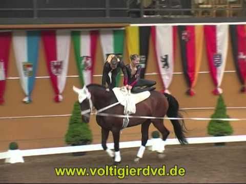 DVM 2010 - Gruppen - 20 Pegasus I